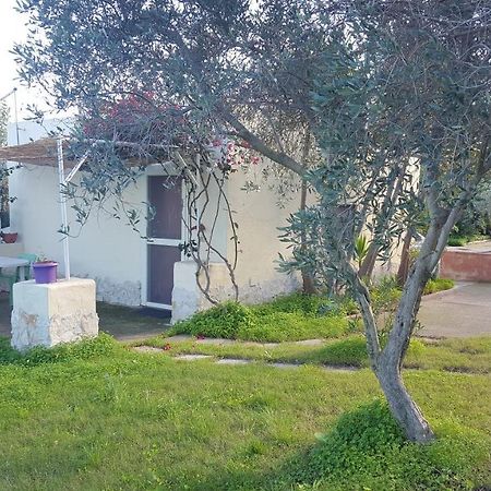 カポテッラ Borgo Degli Ulivi Depandanceヴィラ エクステリア 写真